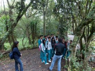 Imagen Huertos macarena